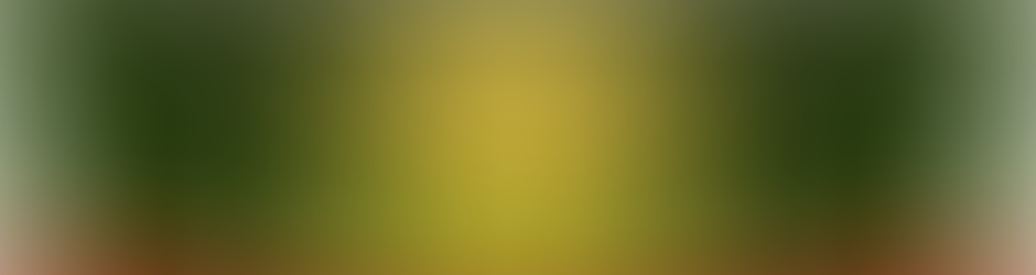 Nachrichten von Heute