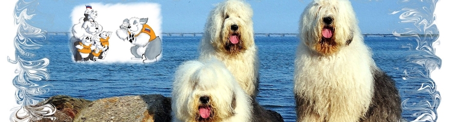 kennel Of Abigal Grace