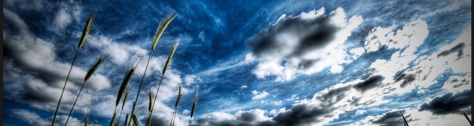 Francis Dewigne Cisco  Drum Concept