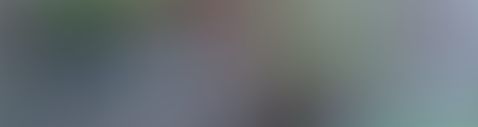 Michel vermeulen caroline