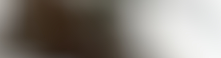 Link-Triforce Ricquet