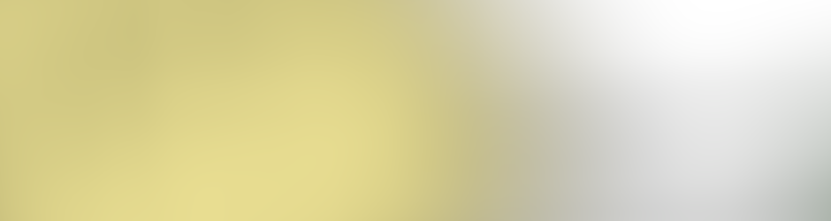 The_Revised_Timepiece