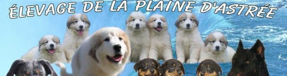 MARIE-RAPHAËLLE GINON