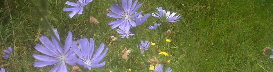 Bienvenue !  l'atelier Bentoche en chantier