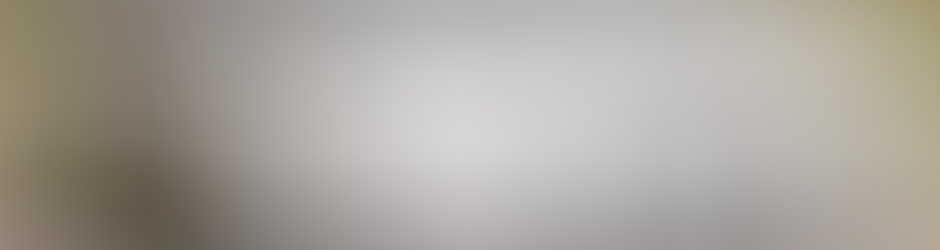 Pierre-Alexandre PERRIN