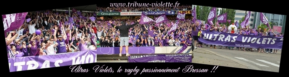 Tribune-Violette