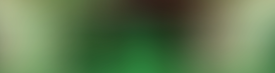 festivaille que vaille