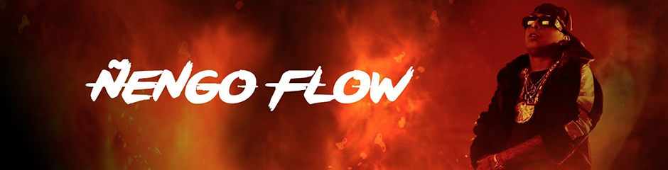 Nengo Flow