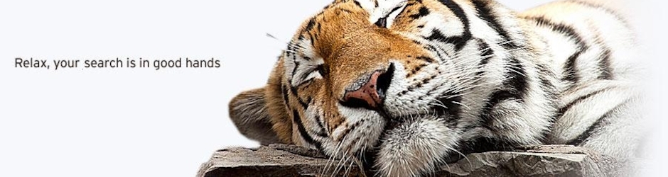 Sportiva EG - Sports Marketing