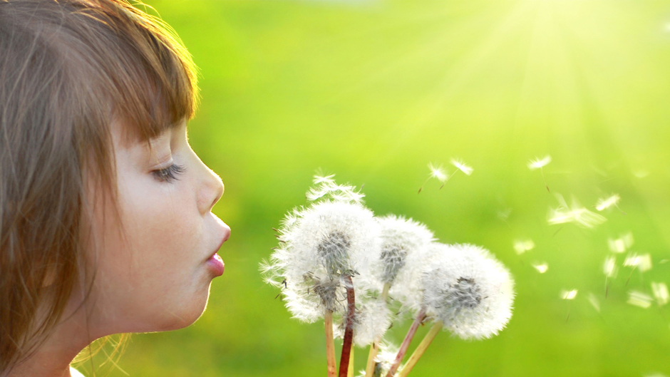 Ministères Écologie Territoires