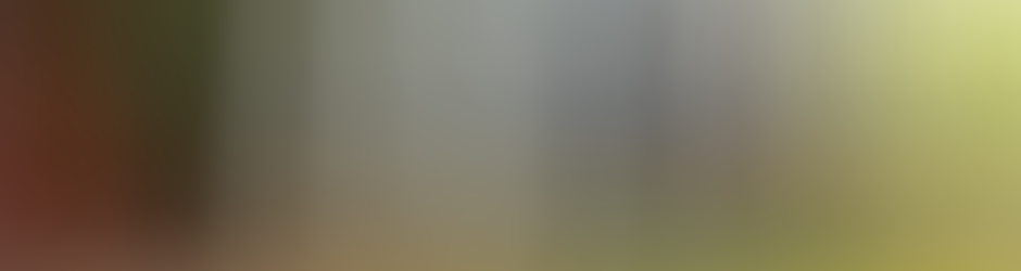 Benoit Schnoerringer