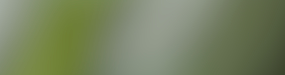 Institut Français de la Mode IFM