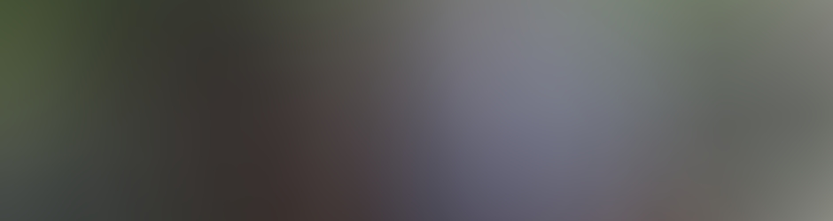 Seyin Ağa Gil Sayfasi