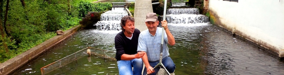 legrandmarcheTV legrandmarcheTV