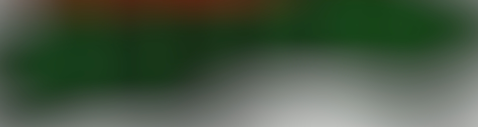 Parti Socialiste Fédération du Nord