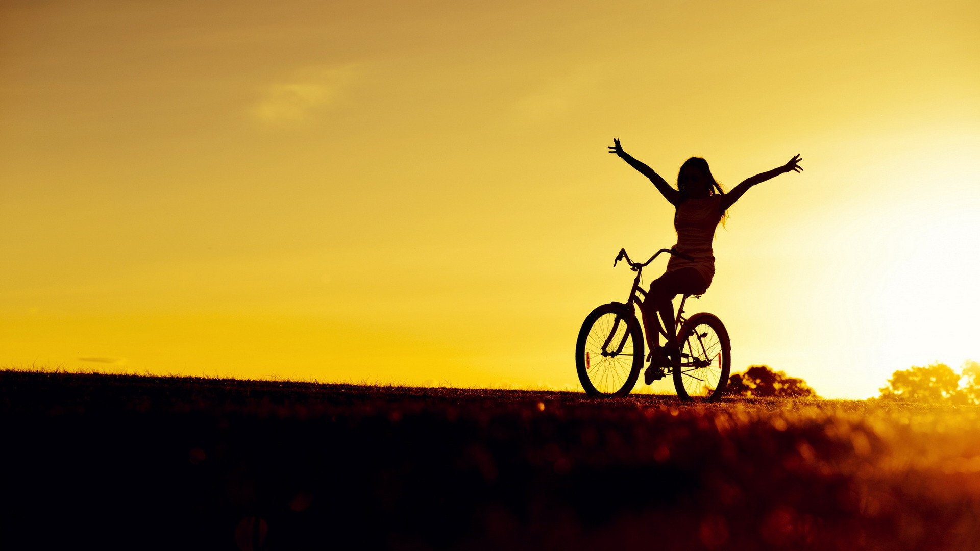 Bisiklet Eğitimleri ve Bisiklet Turları