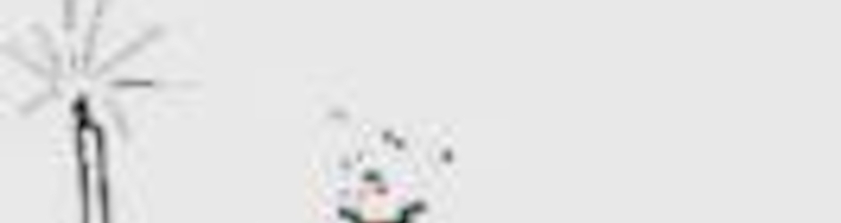 rdw raadan digitale werke