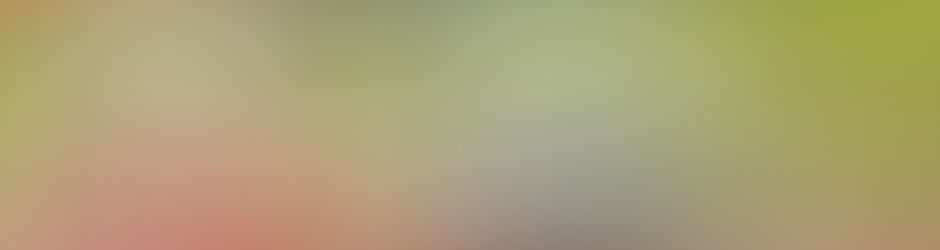 PIERRE ANDRE DE VERA