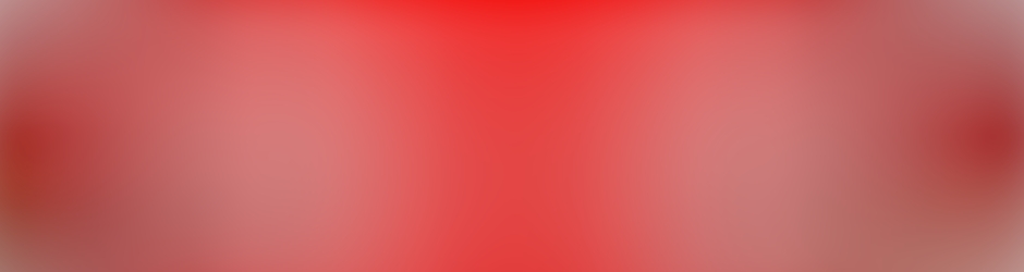 JS THE LEEK RACING TEAM