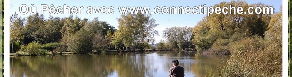 Dominique Vandenbussche