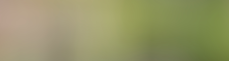 Köpekeğitmeni Murat Koçoğlu