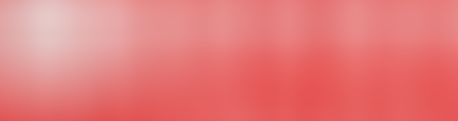 Réveil Saint-sornin Basketball