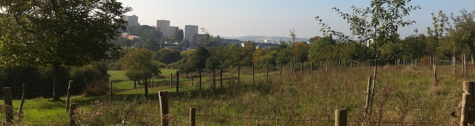 Ville de Ville de Coulaines