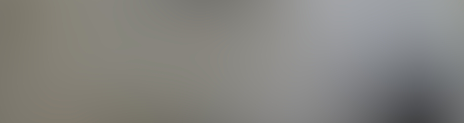 Anne-Sophie Anne-Sophie roudot