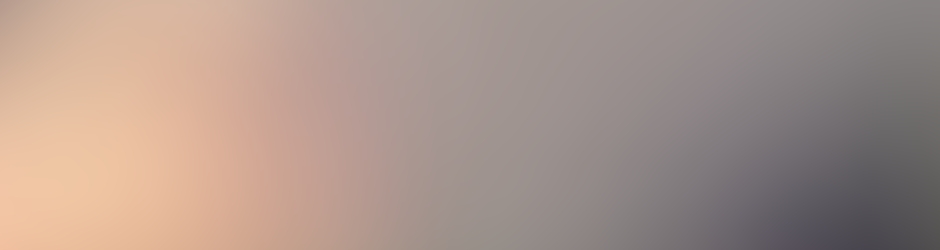 frederic frederic salles