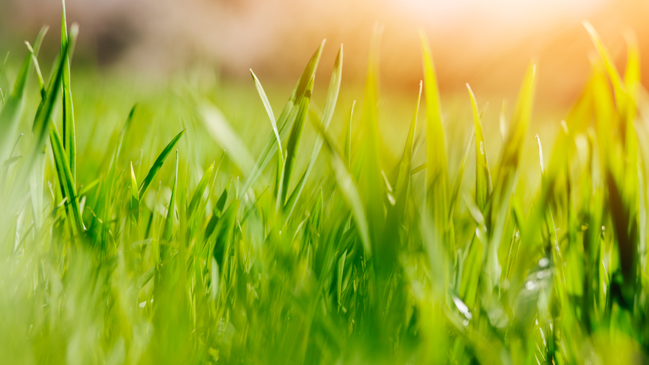 Ministère Agriculture, Souveraineté alimentaire