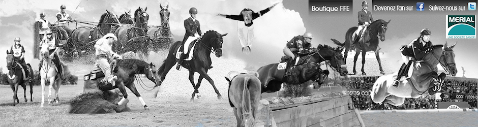Fédération Française d'Equitation