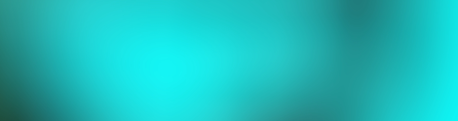 Steve BizzlmRirizzlm