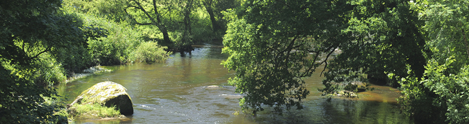 Agence de l'eau Loire-Bretagne
