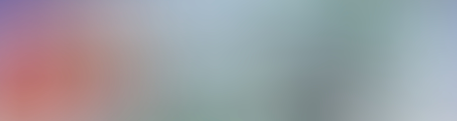 Thierry Surf Seignosse Paradise