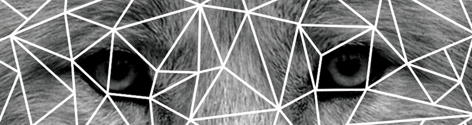 MorganView l communication transmédia