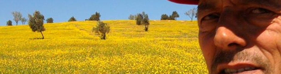 El houssen AITTERRAMI