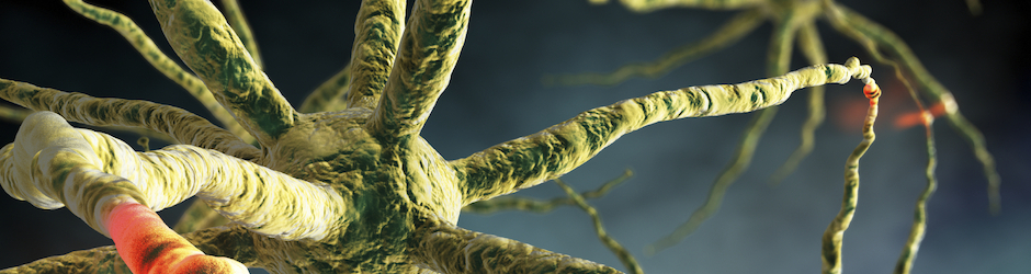 Christophe Delbassez