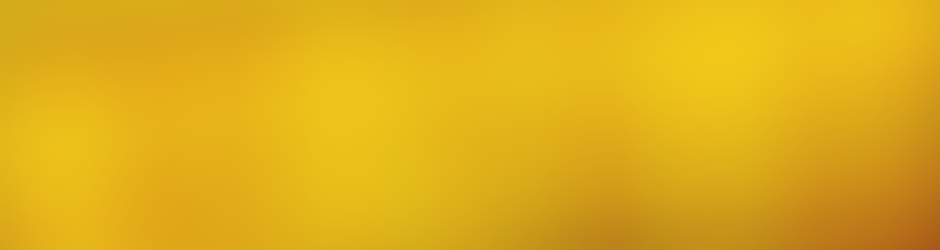 Saint Vallier Basket Drôme