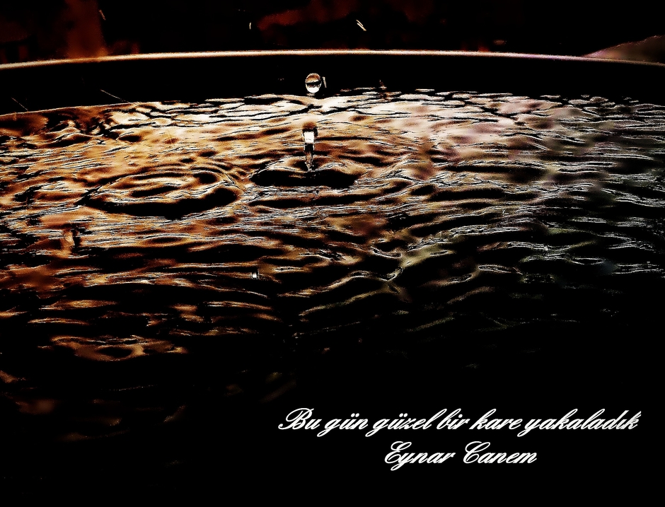 Eynar Canem Official Dailymotion Account