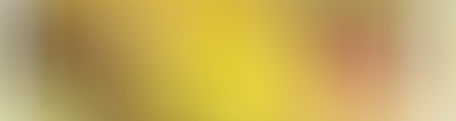 Ricardo Manuel Ruelas Gallegos