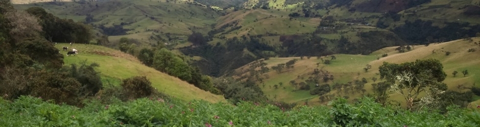 EL MUNDO DEL CAMPO T.V