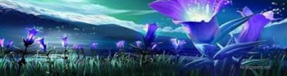 Maria Caterina Cianciotta