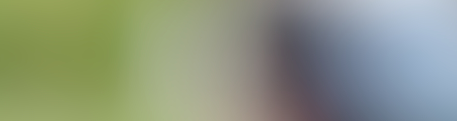 highlandcanine_dog_training