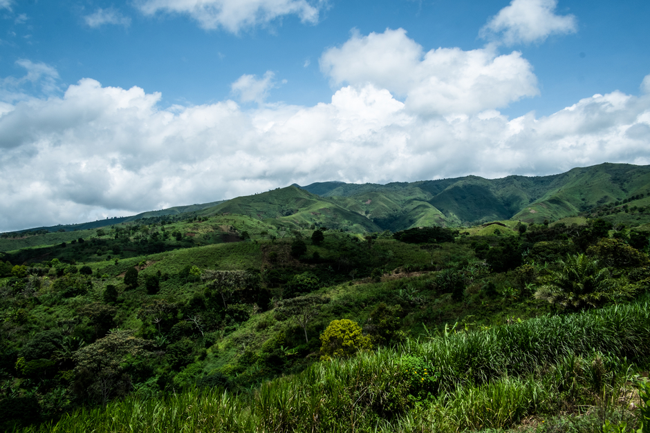 CHROLAND TV (CHROTV)