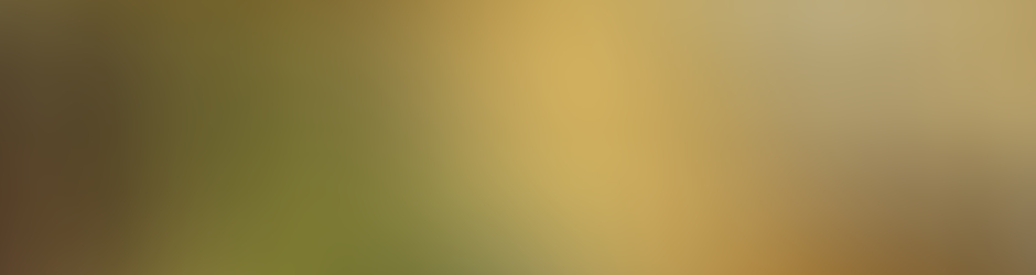 alexandre villemagne