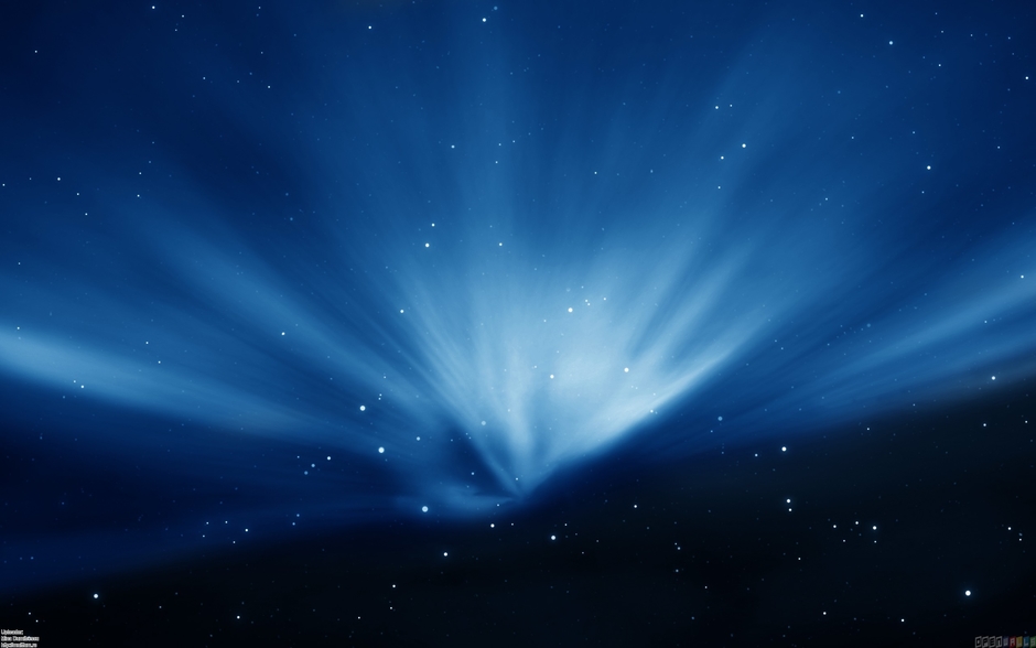 Meneer Erwin Leeuwerink