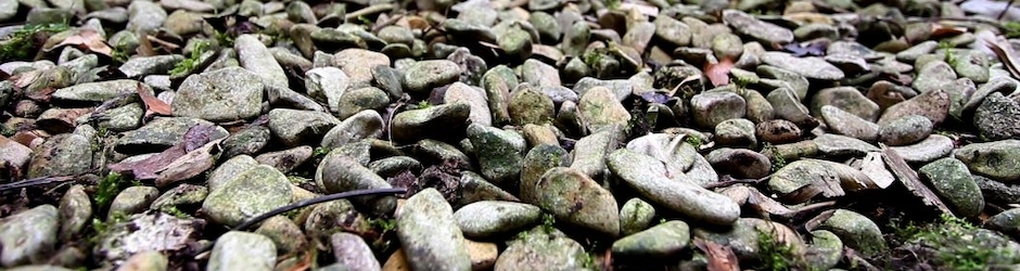 Fictus Films (cinemadubronx)