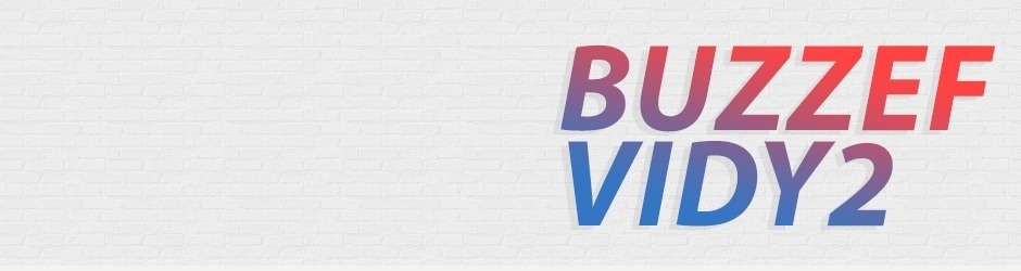 Buzzef Vidy 2