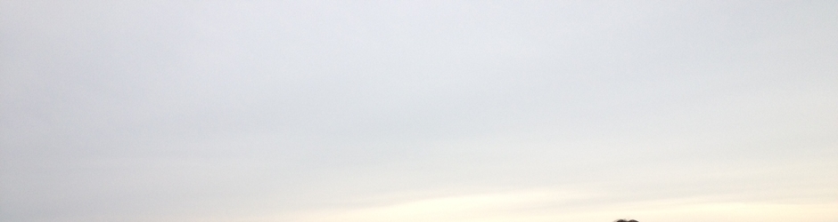 guvendiro BirgunMutlaka