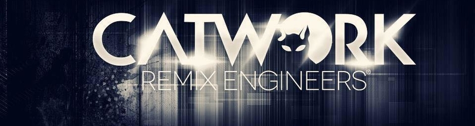 Catwork Remix Engineers